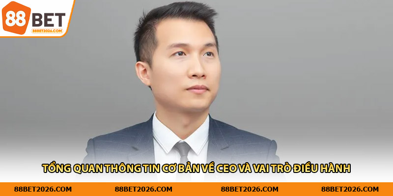 Tổng quan thông tin cơ bản về CEO và vai trò điều hành